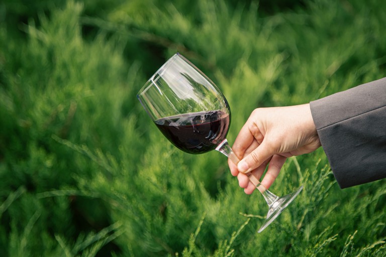 Close-up, a glass of red wine against the background of green bushes in female hands.