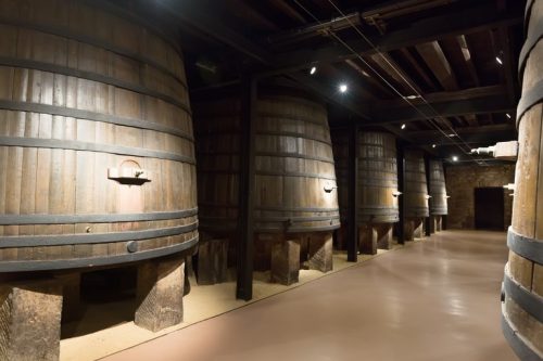 Rows of vertical wooden barrels in old winery
